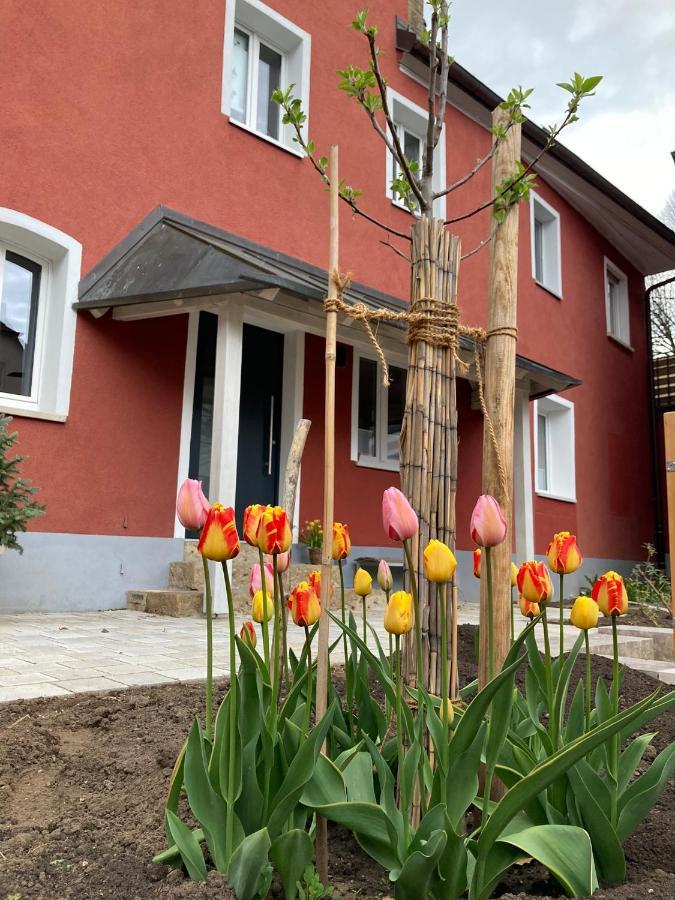 Ferienwohnung Rotes Haus シュナイッタッハ エクステリア 写真
